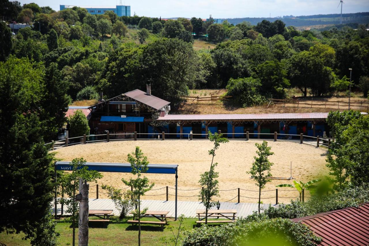 Mavi At Hotel Blue Horse Gumusdere المظهر الخارجي الصورة
