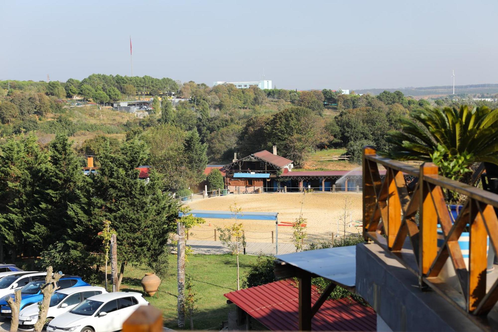 Mavi At Hotel Blue Horse Gumusdere المظهر الخارجي الصورة